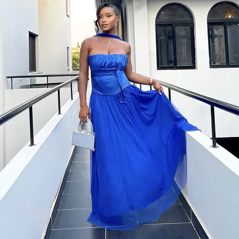 Cralom Strapless Mesh Maxi Dress
